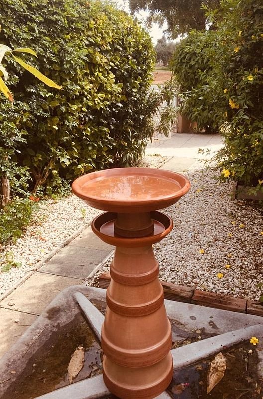 Bird table 1.jpg