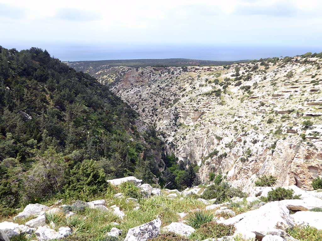 avakas.jpg