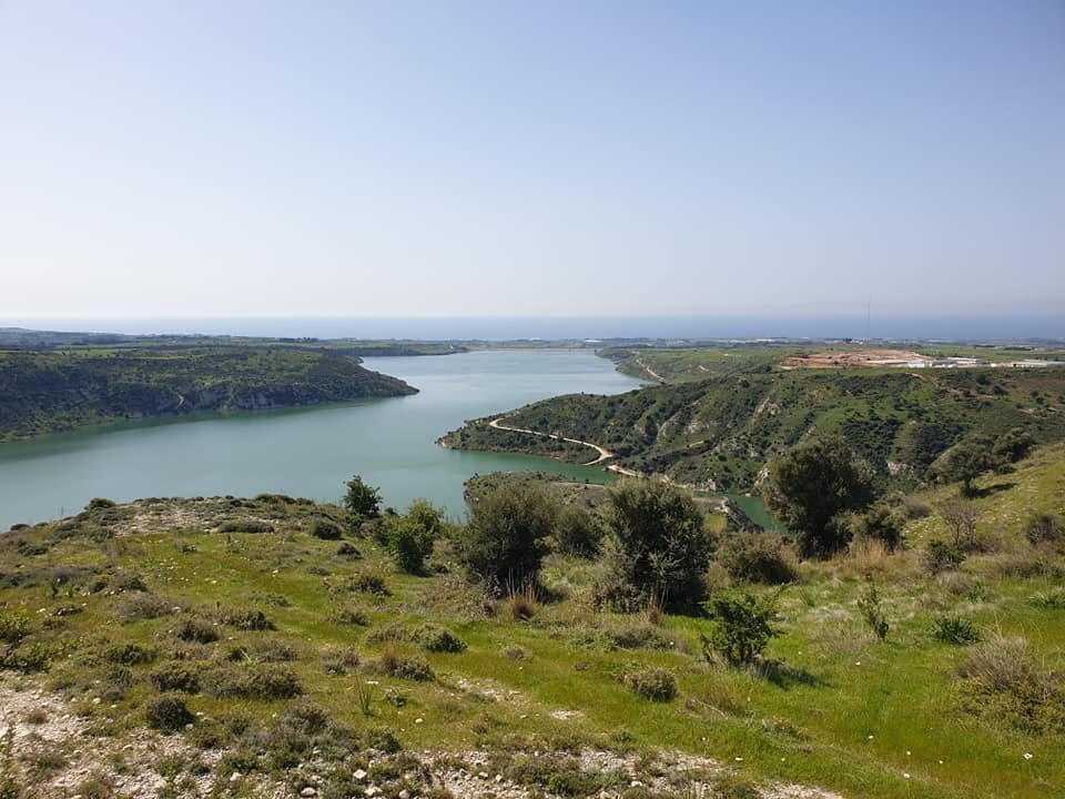 06.jpg