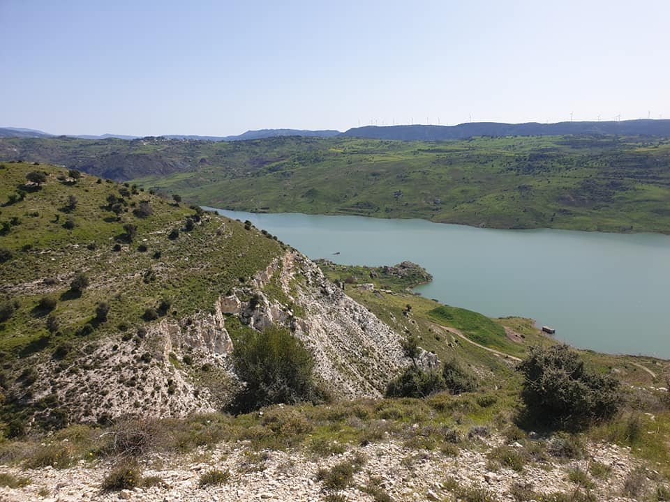 07.jpg