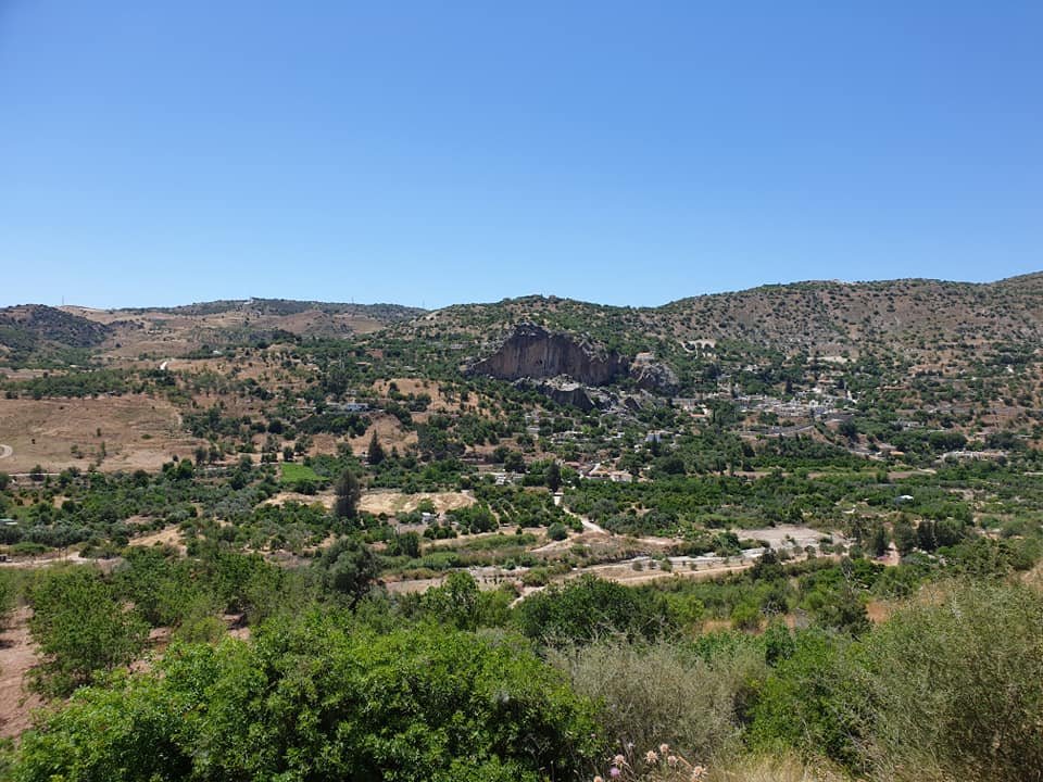04.jpg