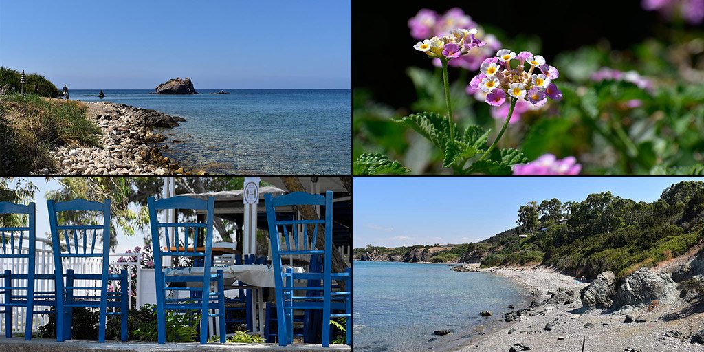 aphrodites-wild-beach_masthead.jpg