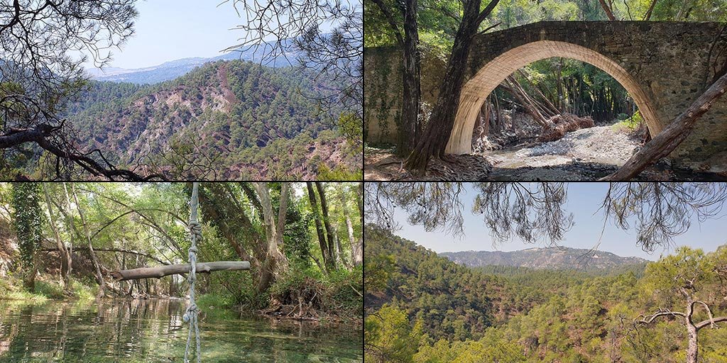 paphos-forest-drive_masthead.jpg