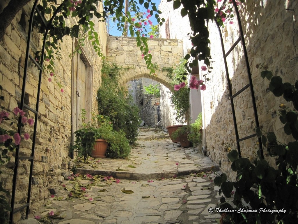 cypruspictures_img_1449.jpg