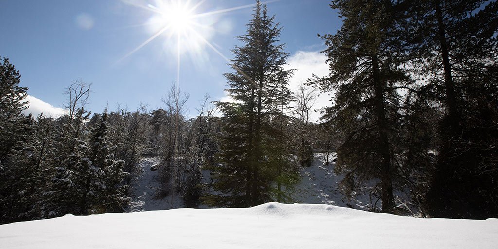 troodos-winter-snow_masthead.jpg