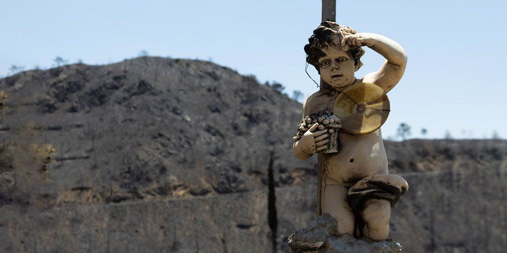 fire-affected-areas_masthead.jpg