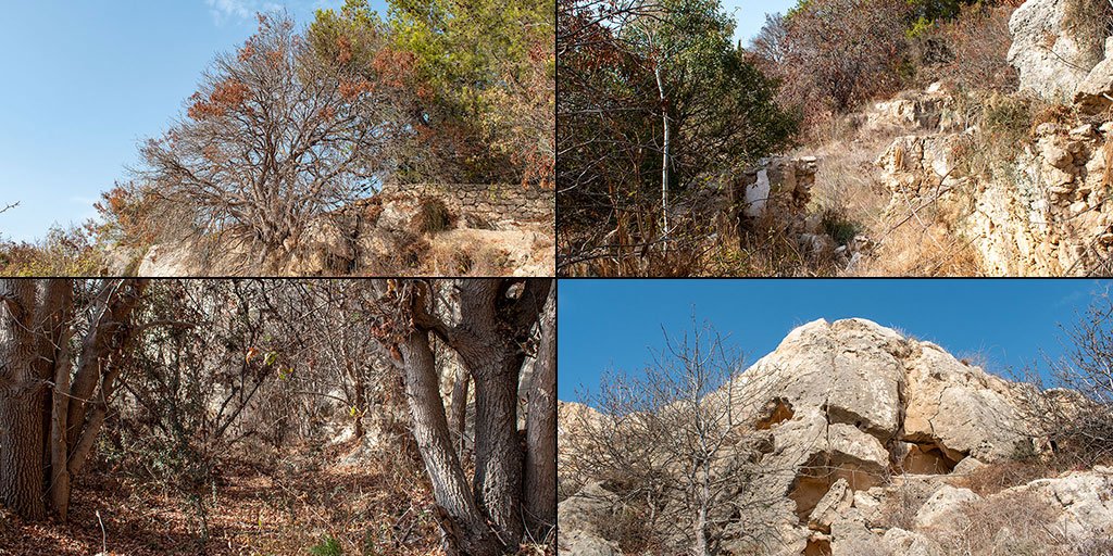 the-grey-cliffs-of-paphos-part-2_masthead.jpg