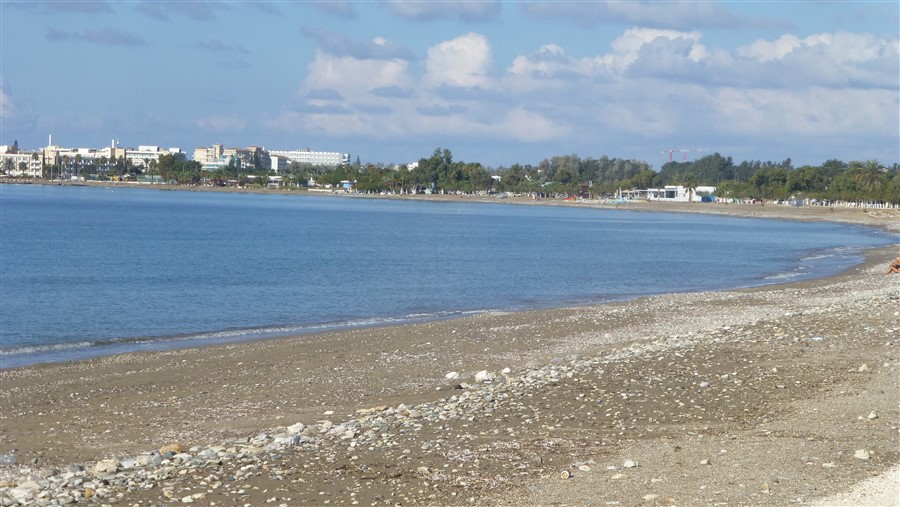 P1050529.jpg