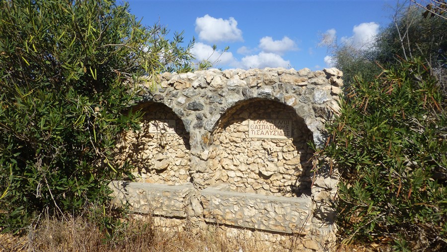 P1050538.jpg