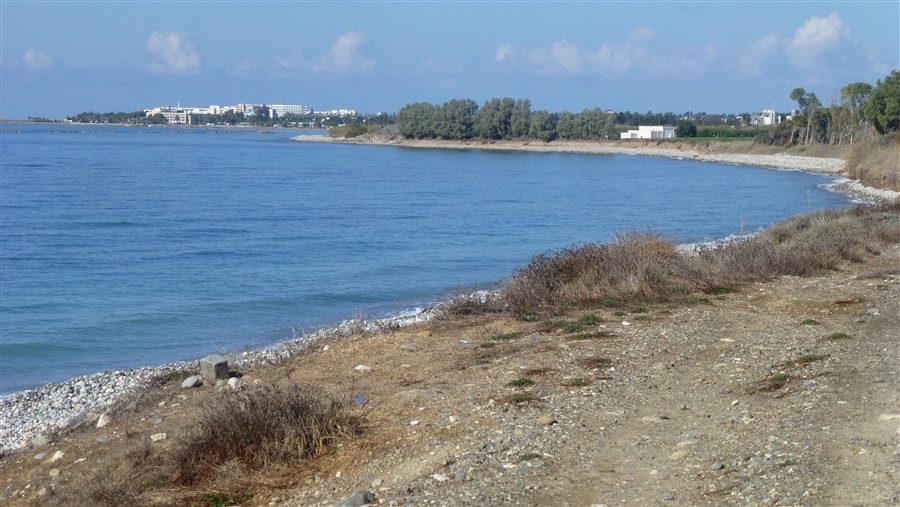 P1050550.jpg