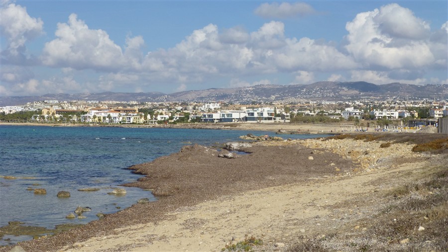P1050478.jpg