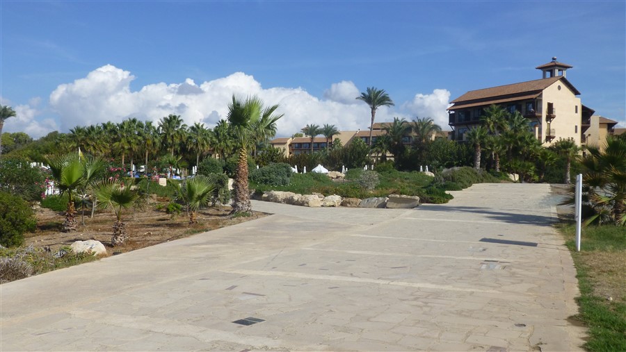 P1050482.jpg