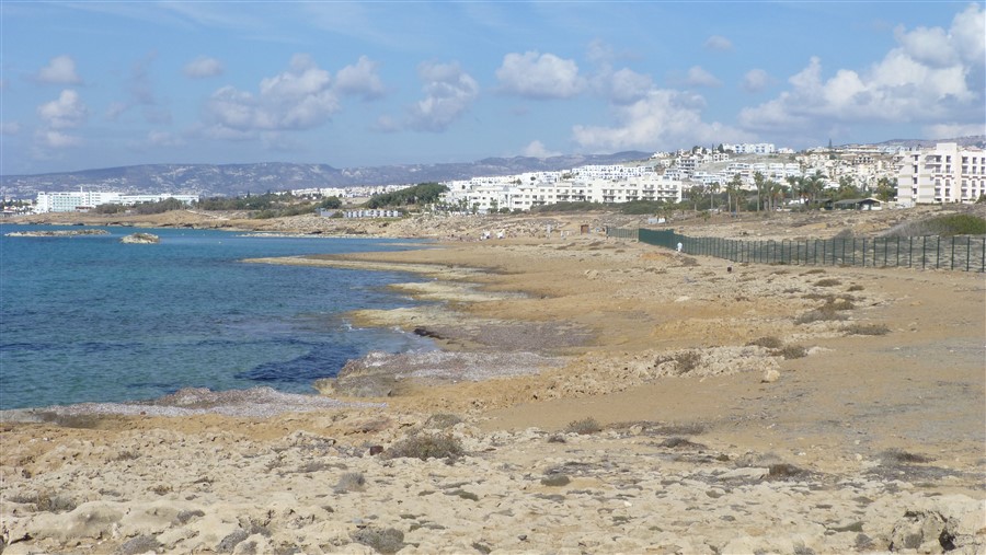 P1050487.jpg