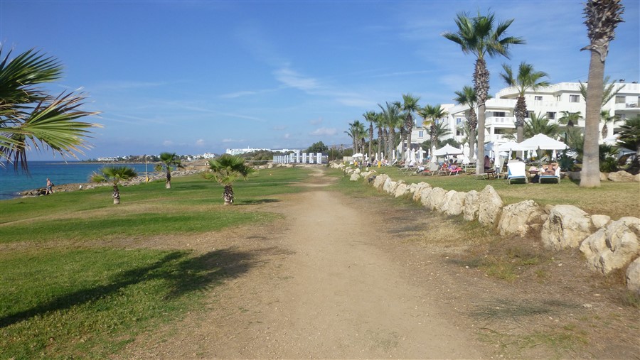 P1050491.jpg