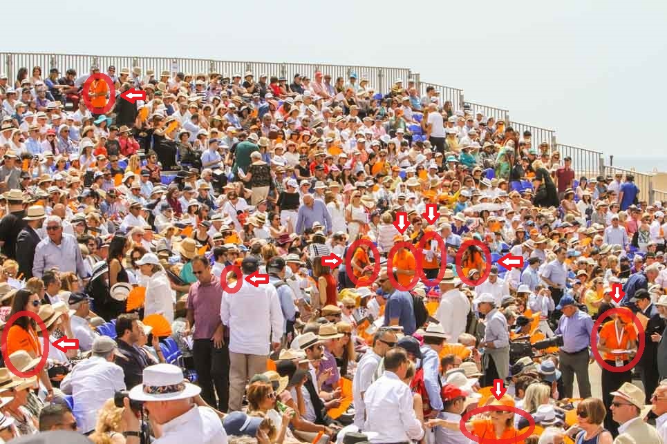 Orange Quiz Teaser Polo Shirts 1.jpg