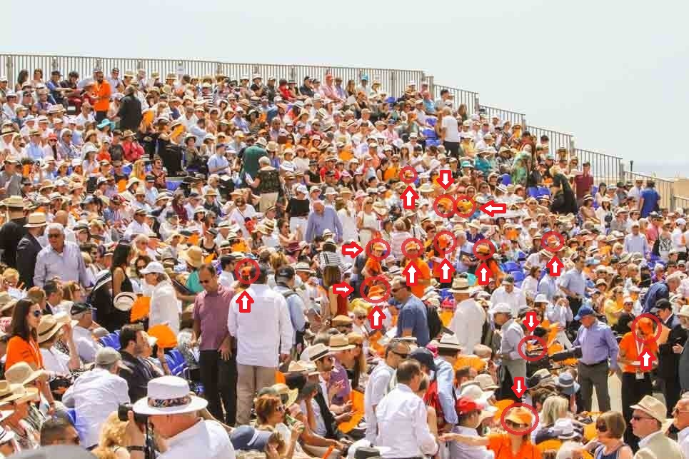 Orange Quiz Teaser Baseball Caps 1.jpg