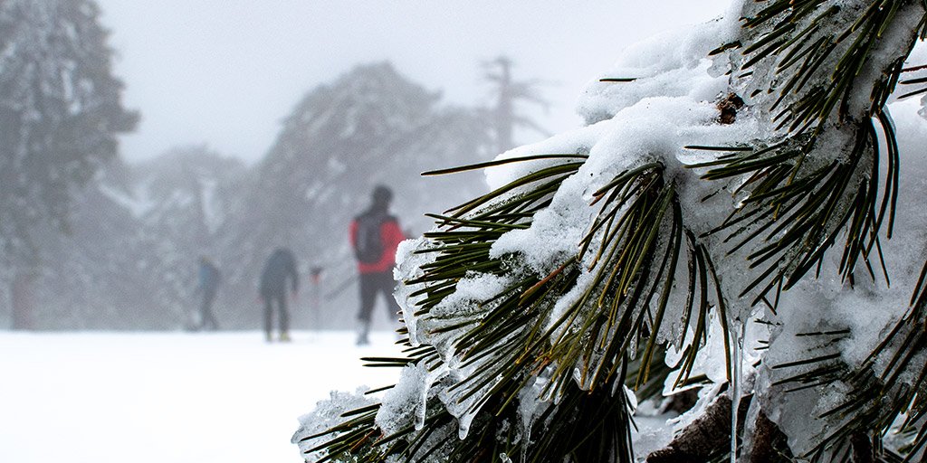 troodos-ice-festival_masthead.jpg