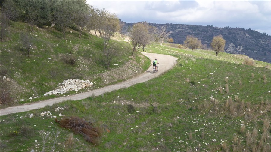 P1050700.jpg