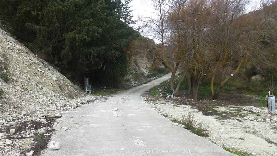 P1050724.jpg