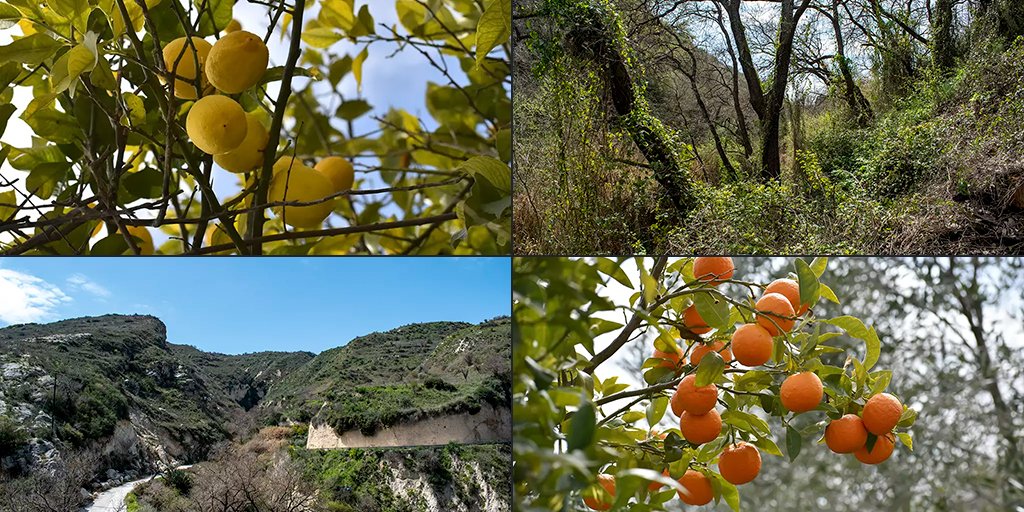 fruity-fields-of-theletra_masthead.jpg