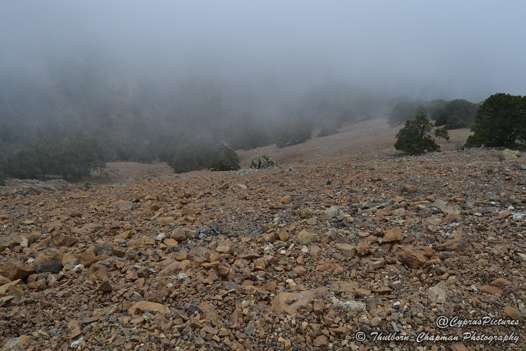 artemis-trail---cyprus_1811817.jpg