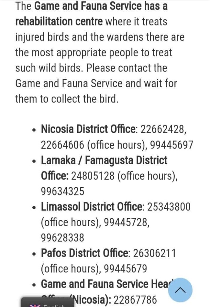 Game& Fauna numbers.jpg