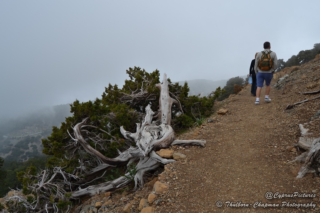 artemis-trail---cyprus-petrifi.jpg