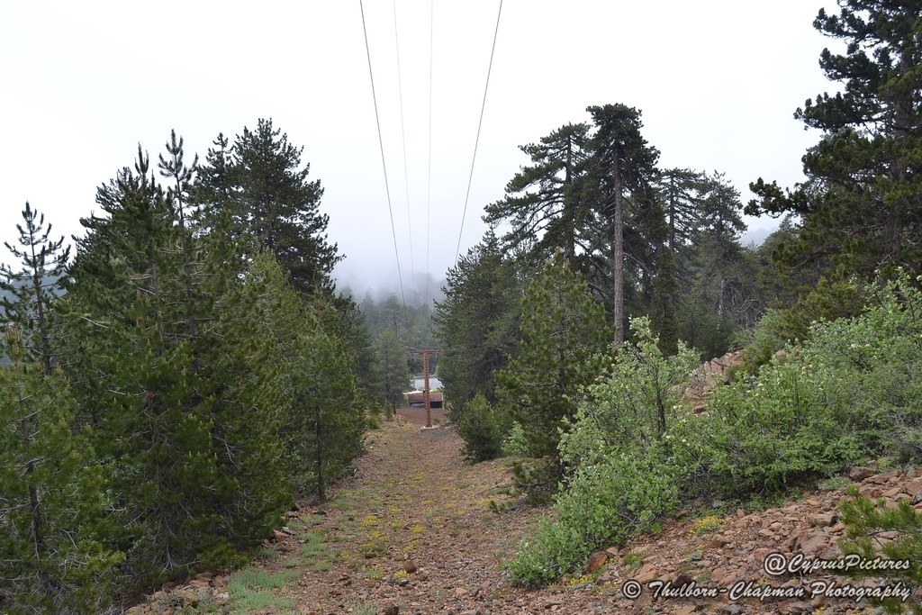 artemis-trail---cyprus-ski-lif.jpg
