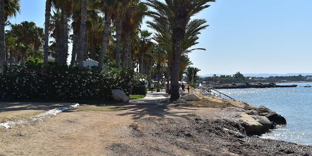 paphos-coast-path-2024-01_masthead.jpg