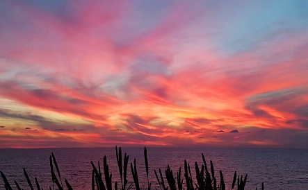 SS 1 Cap st george.jpg