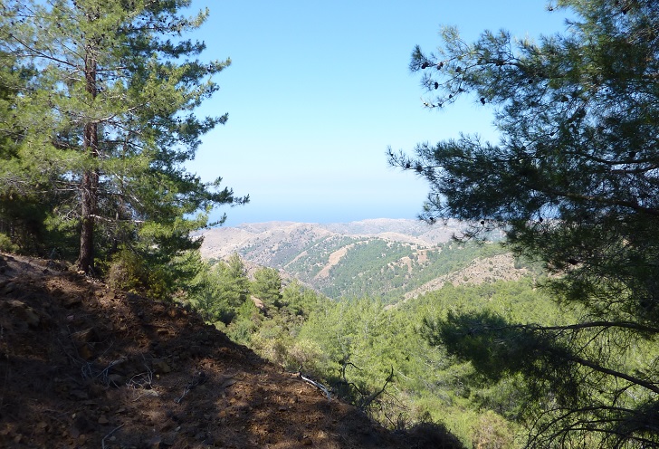 The road to Kato Pyrgos