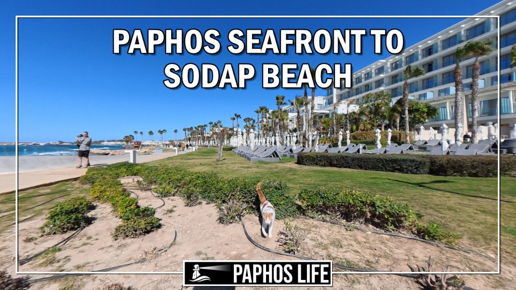 260301-paphos-seafront-sodap-yt.jpg