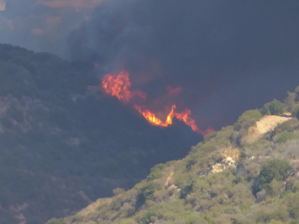 flames_close.jpg