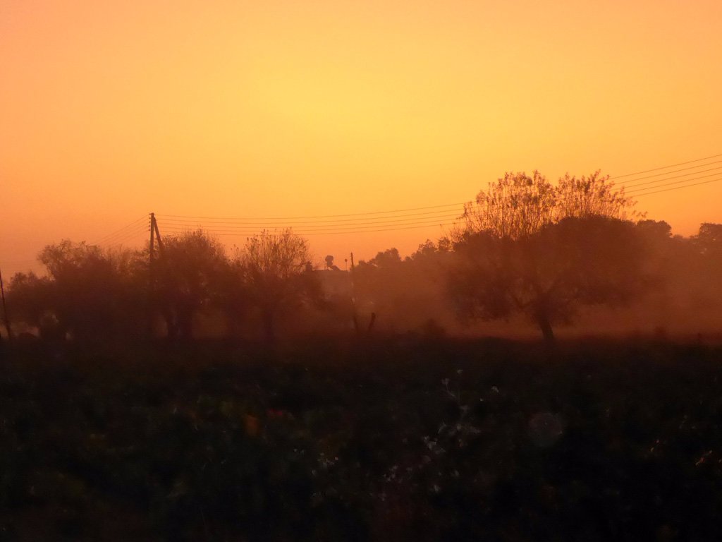 sunrise.jpg