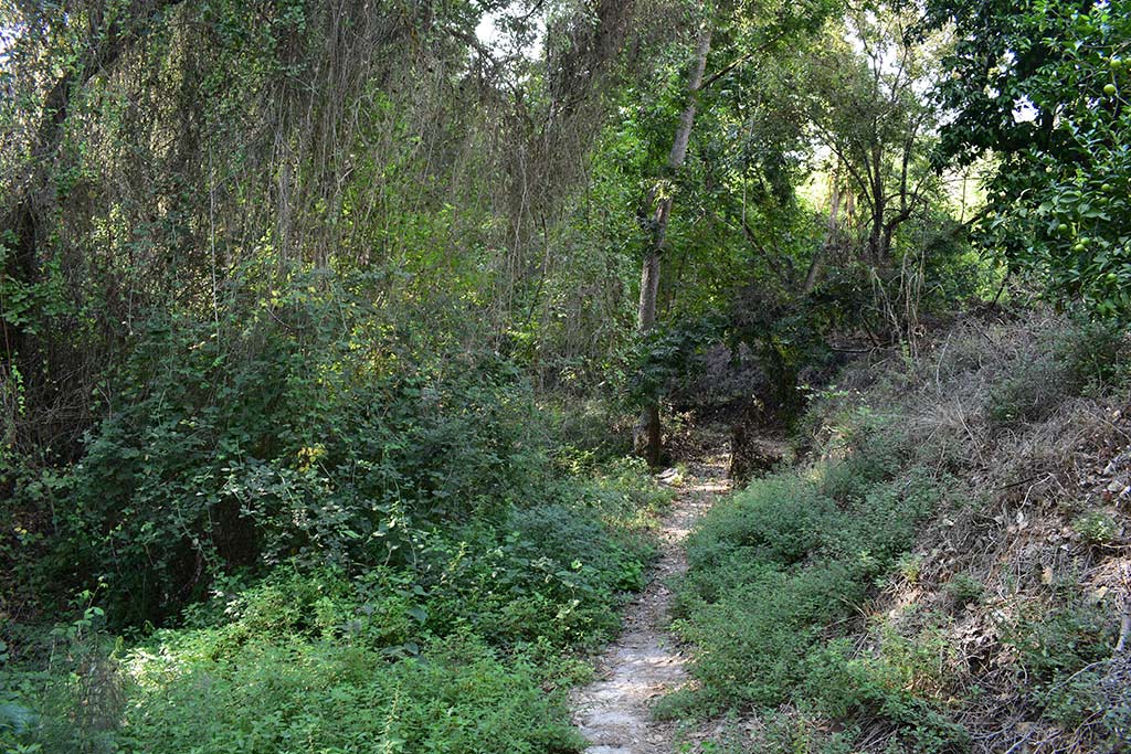 Anerades-nature-trail 07 anerades-nature-trail_07