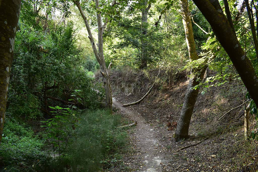 Anerades-nature-trail 09 anerades-nature-trail_09