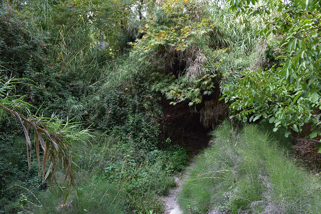 anerades-nature-trail_12