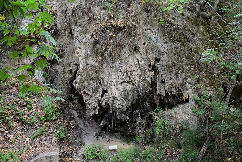 anerades-nature-trail_17