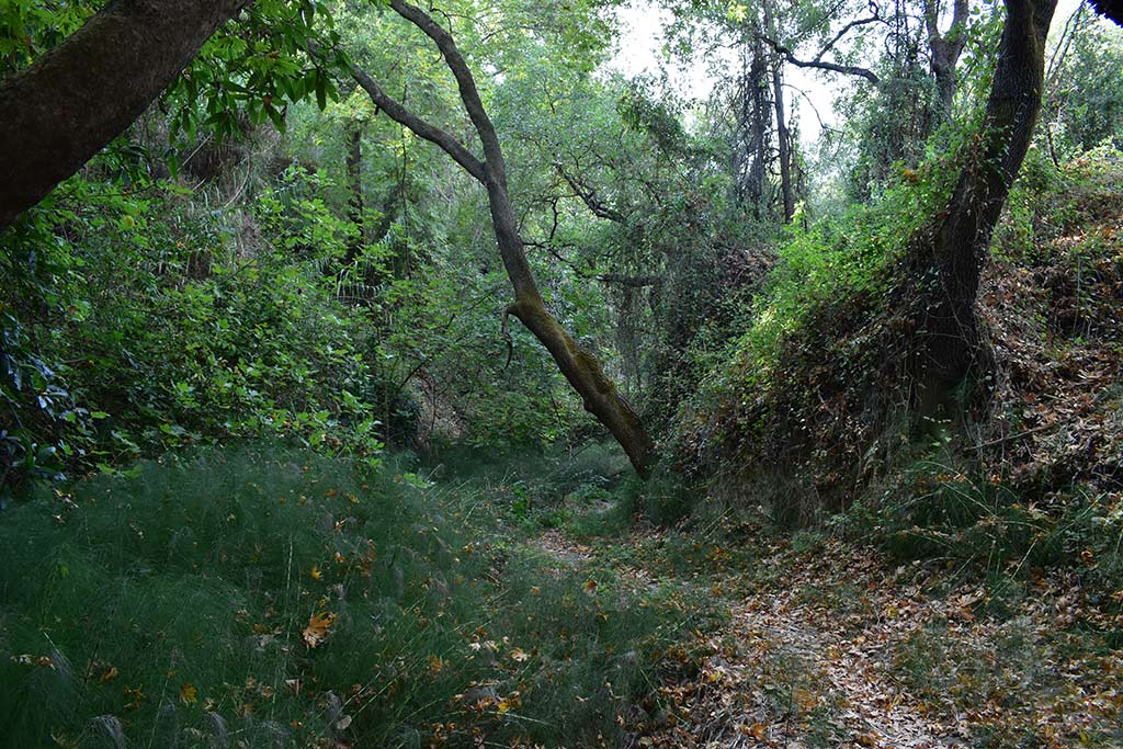anerades-nature-trail_18