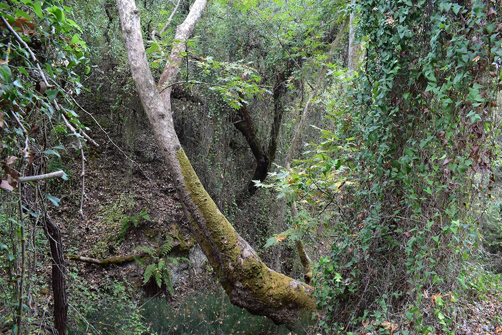 anerades-nature-trail_19