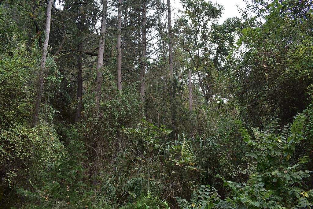 Anerades-nature-trail 25 anerades-nature-trail_25