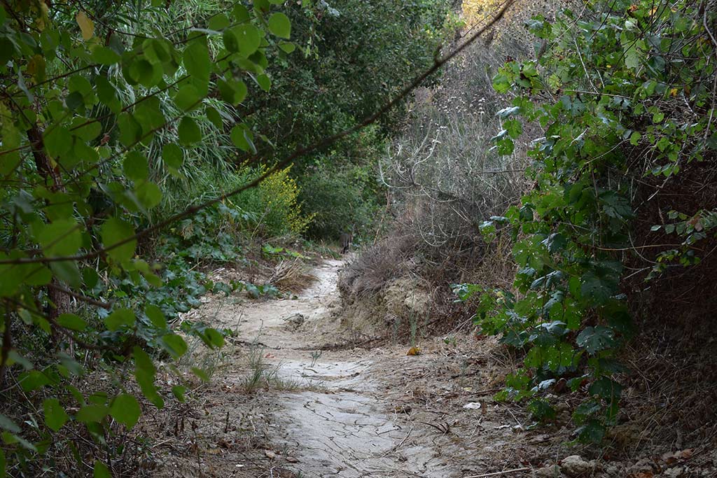 Anerades-nature-trail 27 anerades-nature-trail_27