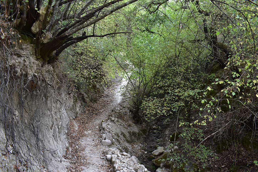 Anerades-nature-trail 37 anerades-nature-trail_37
