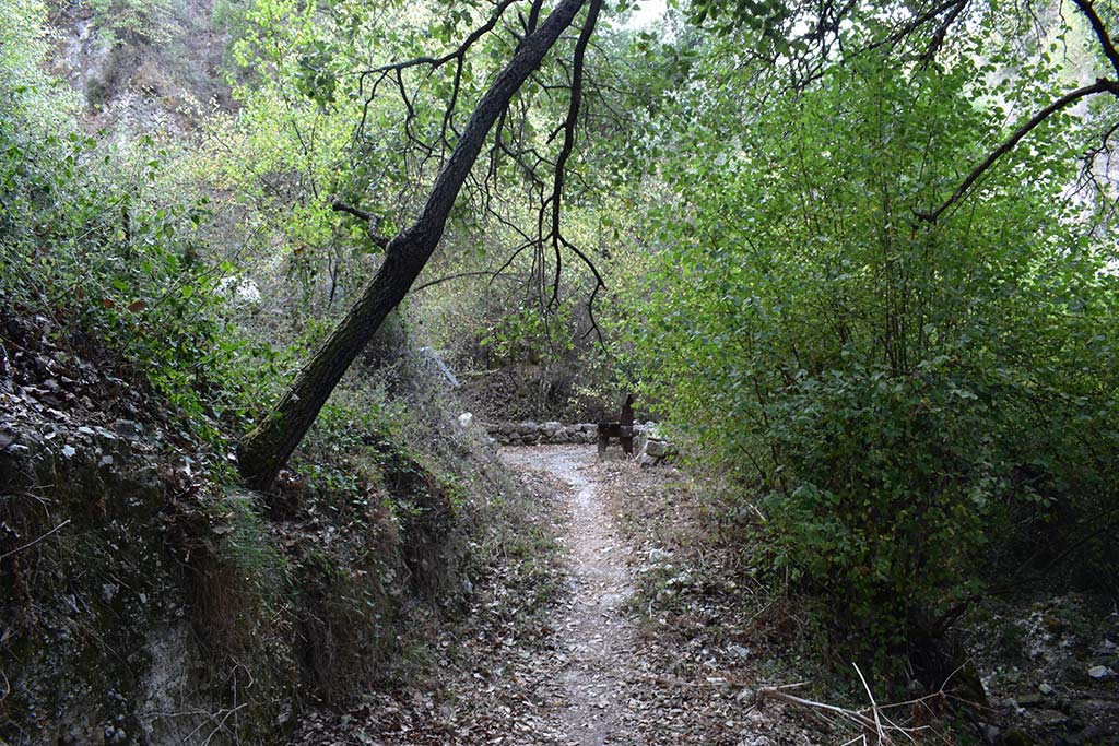 Anerades-nature-trail 38 anerades-nature-trail_38