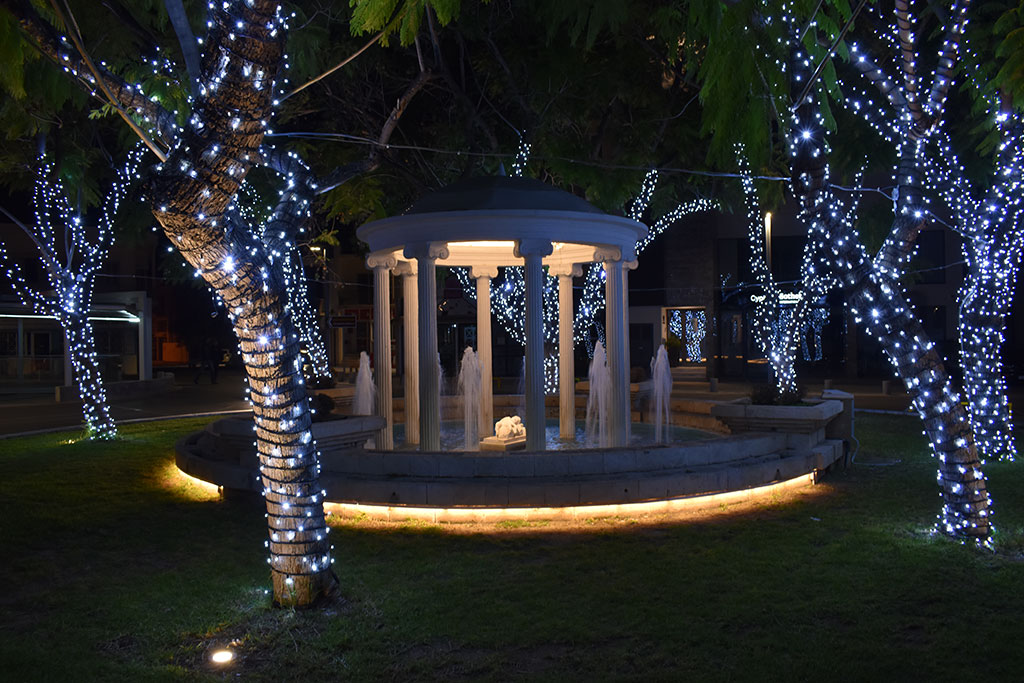 Christmas-lights-2019 16 christmas-lights-2019_16