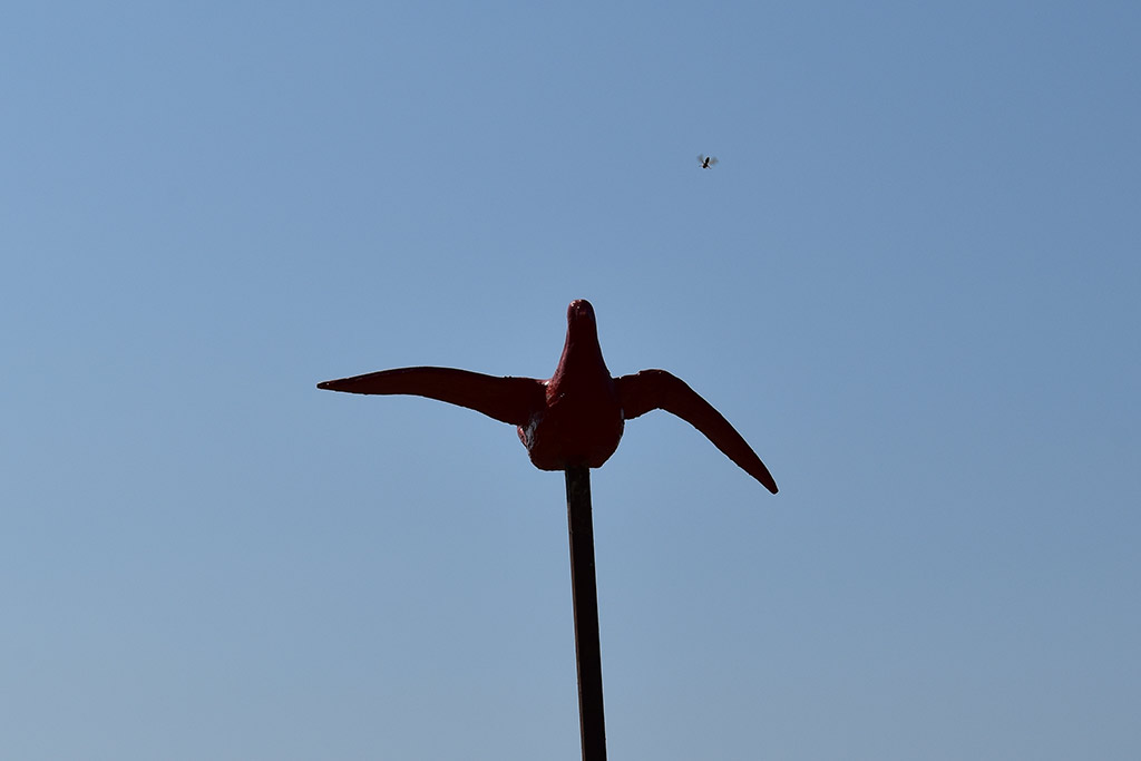 Eco-art-2019 20 eco-art-2019_20