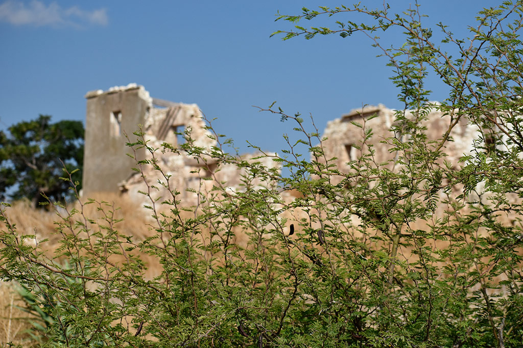 foinikas-views_18