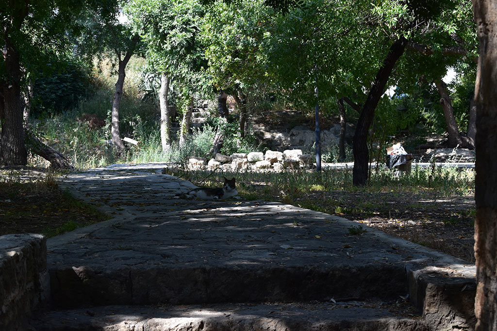 Old-pafos-2019-part-1 34 old-pafos-2019-part-1_34