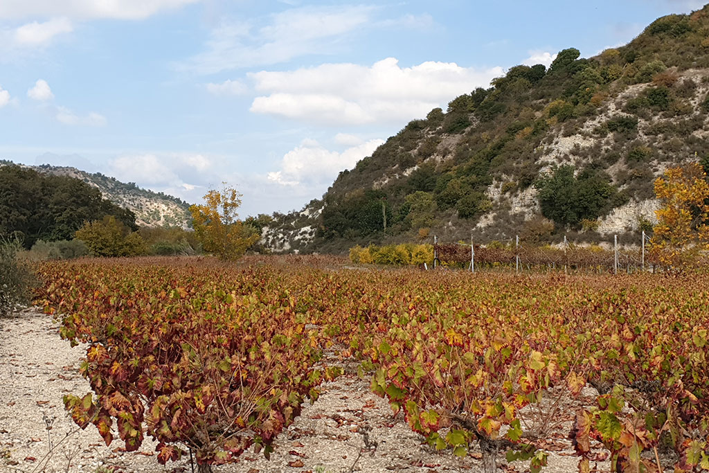 Paphos-in-autumn 20 paphos-in-autumn_20