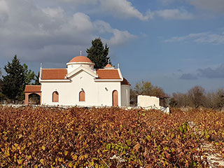 Paphos In Autumn